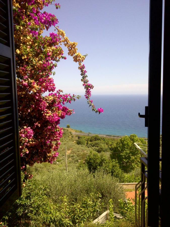Risorgimento Apartment Cipressa Dış mekan fotoğraf