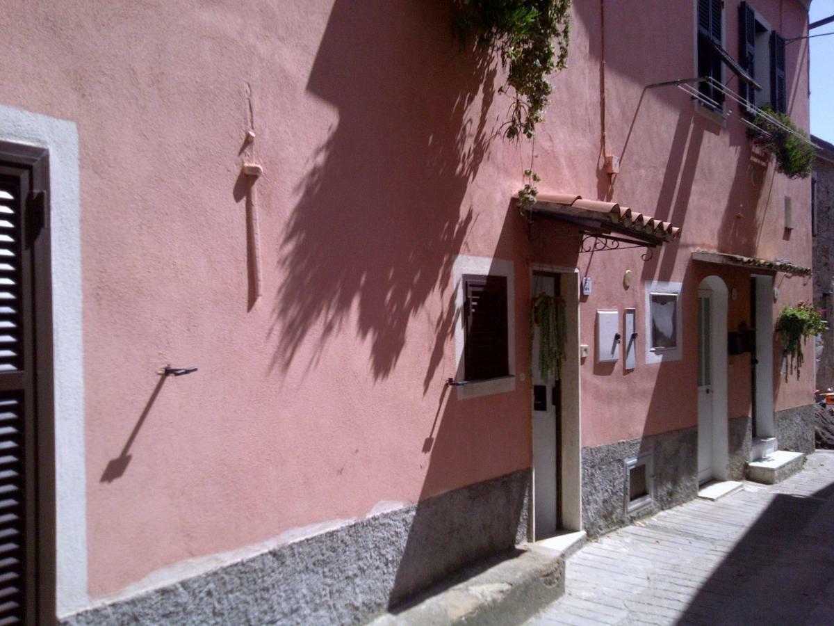 Risorgimento Apartment Cipressa Dış mekan fotoğraf