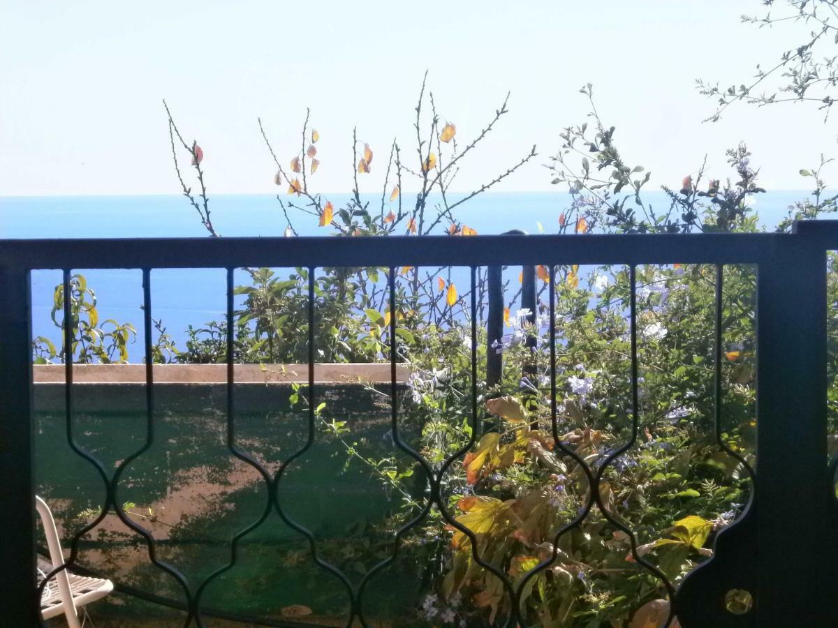 Risorgimento Apartment Cipressa Dış mekan fotoğraf