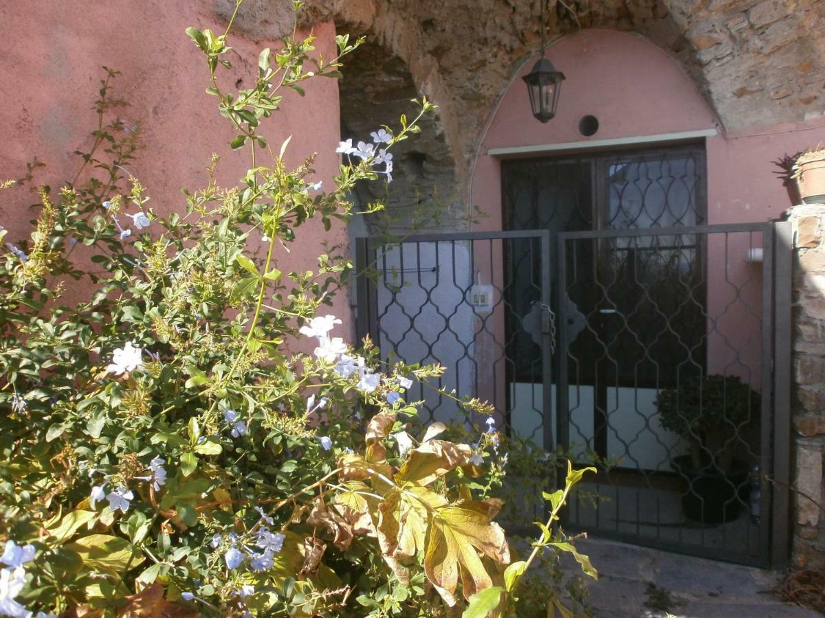 Risorgimento Apartment Cipressa Dış mekan fotoğraf